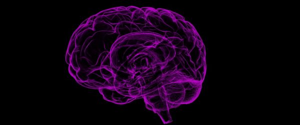 Estudo de Imagens Cerebrais sugere que a Acupuntura funciona