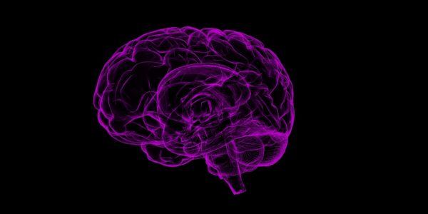 Estudo de Imagens Cerebrais sugere que a Acupuntura funciona