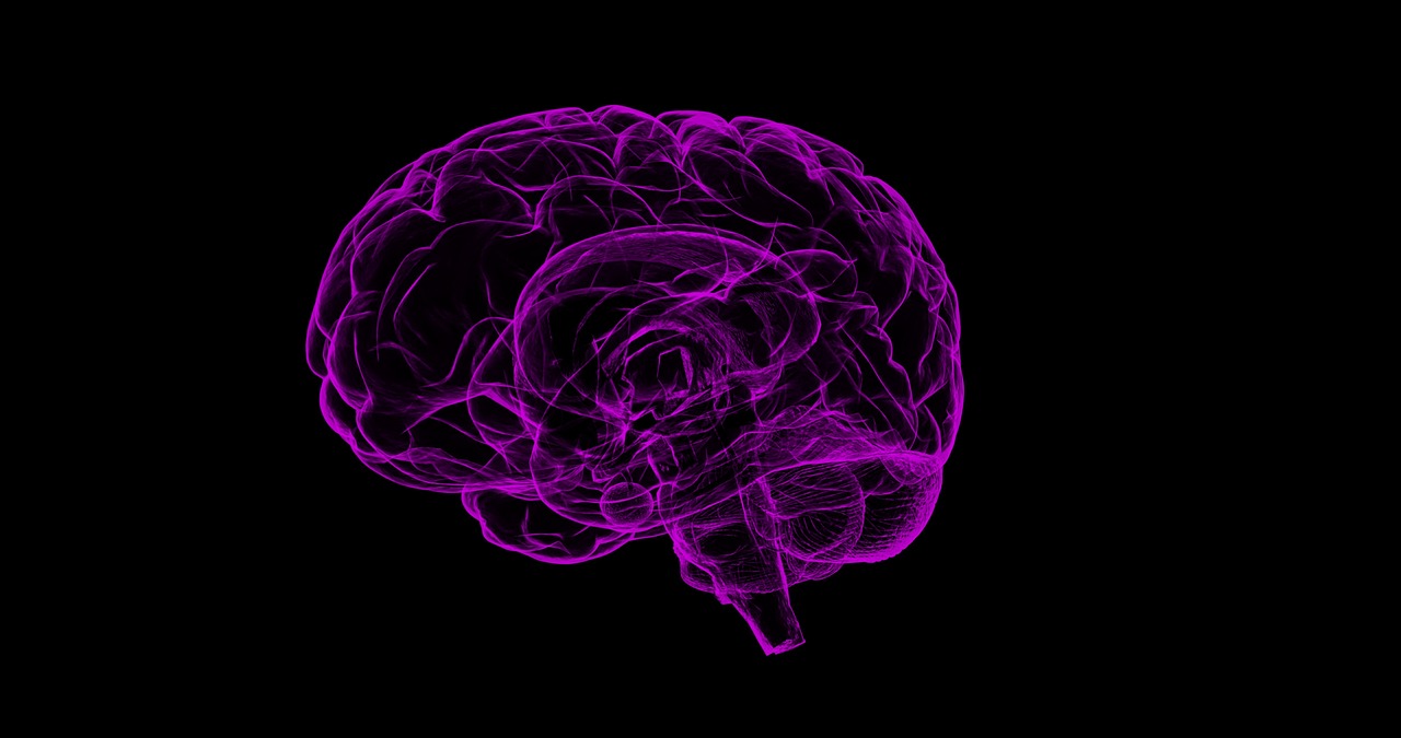 Read more about the article Estudo de Imagens Cerebrais sugere que a Acupuntura funciona